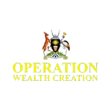 image removebg preview 2